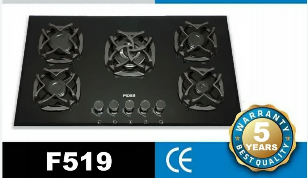 مدل  F519