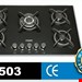 مدل  F503