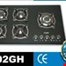 مدل F502GH